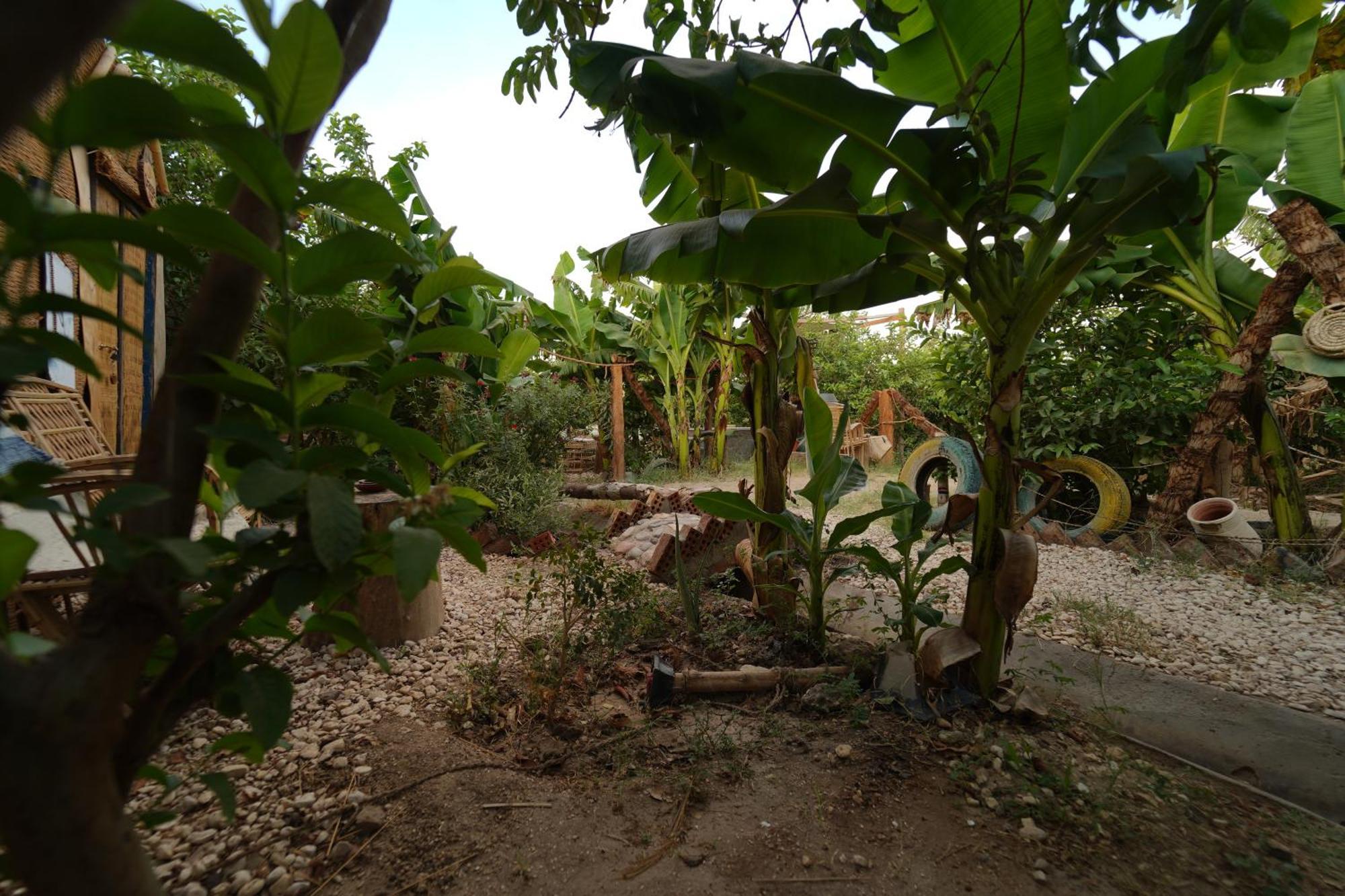 Bedouin Lodge Luksor Dış mekan fotoğraf