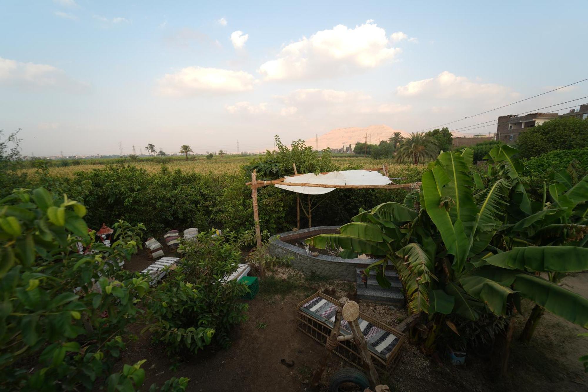 Bedouin Lodge Luksor Dış mekan fotoğraf