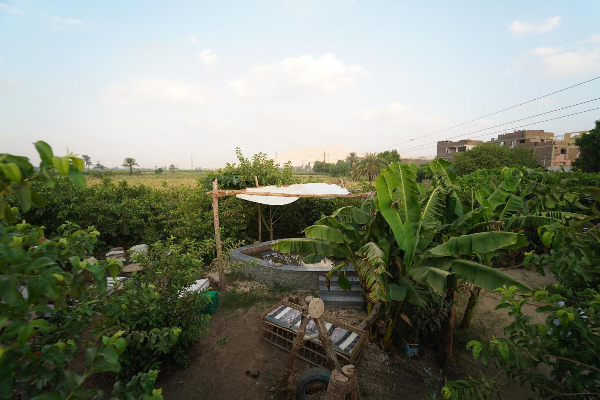 Bedouin Lodge Luksor Dış mekan fotoğraf