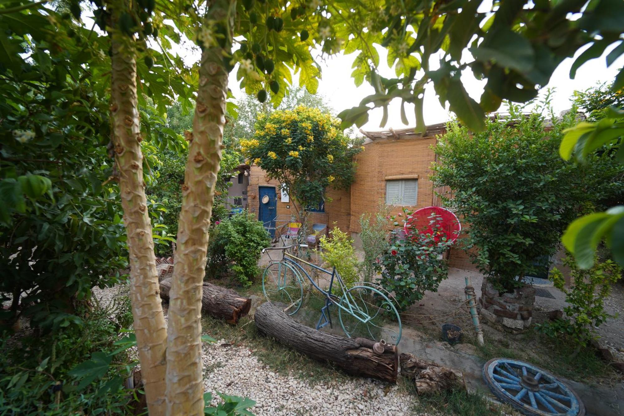 Bedouin Lodge Luksor Dış mekan fotoğraf