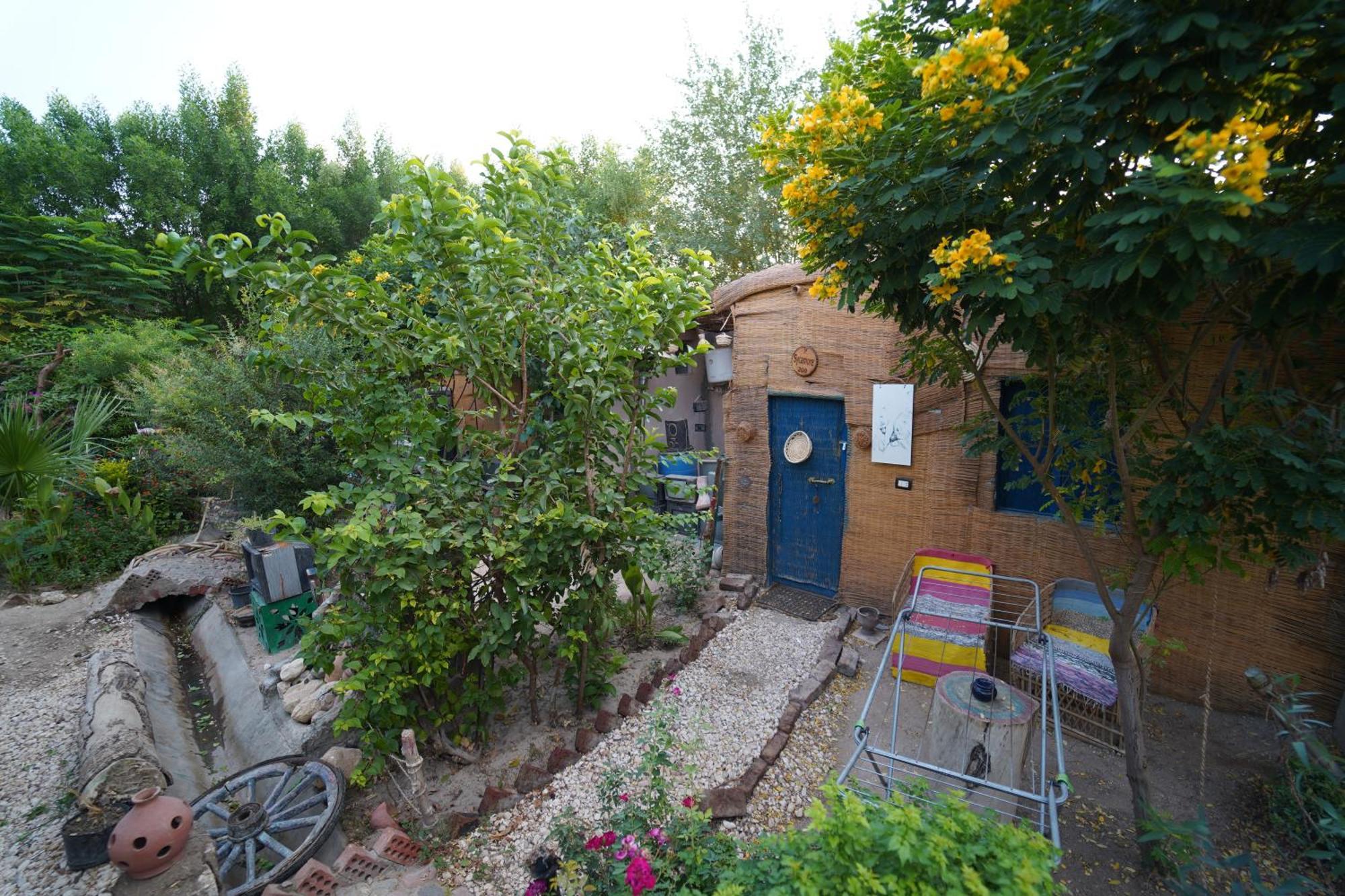 Bedouin Lodge Luksor Dış mekan fotoğraf