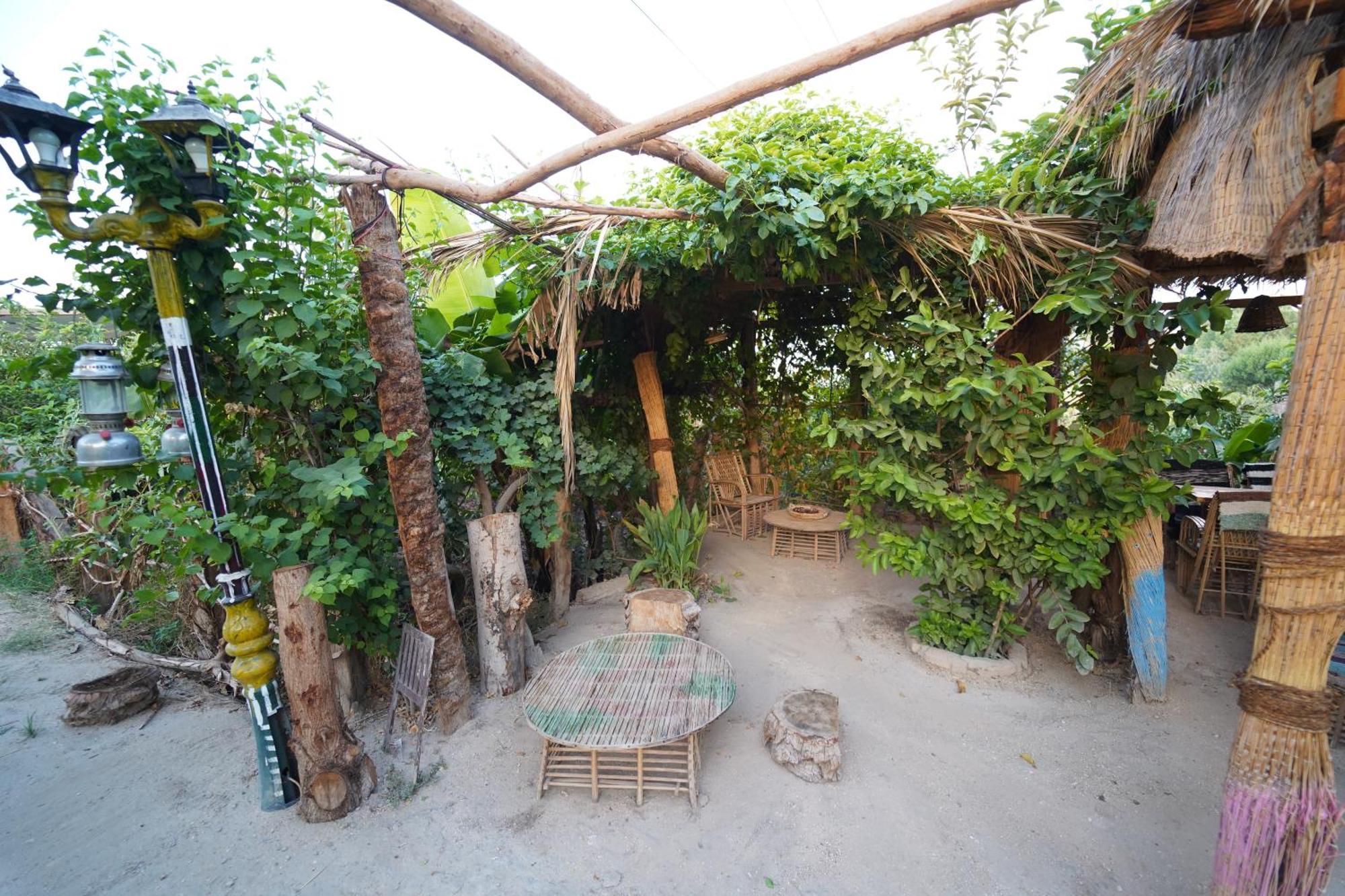 Bedouin Lodge Luksor Dış mekan fotoğraf