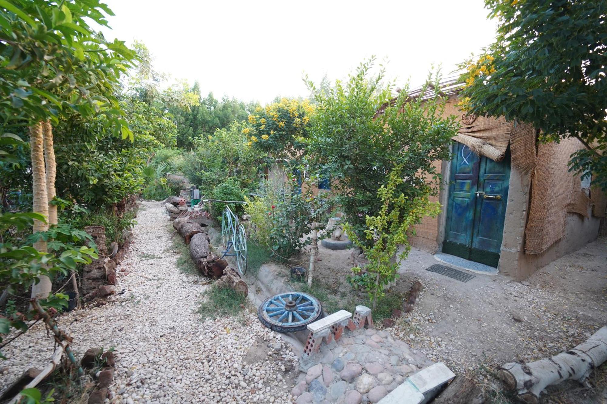 Bedouin Lodge Luksor Dış mekan fotoğraf